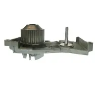 Saleri SIL Wasserpumpe PA970A