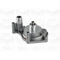 Graf Wasserpumpe PA1163