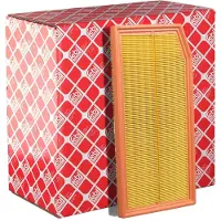 FEBI BILSTEIN Luftfilter 106098