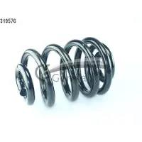 CS Germany Fahrwerksfeder 14.319.576