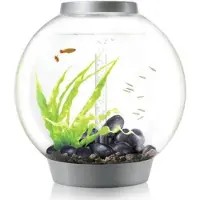 BiOrb OASE Tabletop Aquarien »CLASSIC«, mit LED Beleuchtung, 60 l, silberfarben