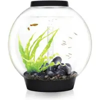 BiOrb OASE CLASSIC 60 LED schwarz
