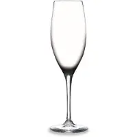 Rona Champagnerkelch Champagne 09 Edition 230 ml ungeeicht 6 Stück beige, 22.5 cm