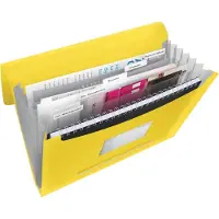 Esselte Fächermappe VIVIDA