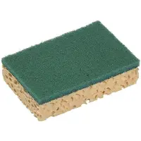 Spontex PK10 SCHEUERSCHWA GB GN 95000122