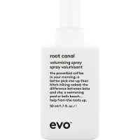 Evo Root Canal Volumising Spray