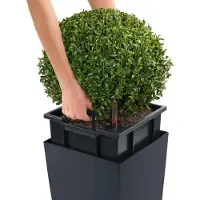 Lechuza Selbstbewässernder Blumentopf