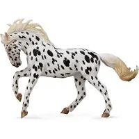 Collecta Hengst Knabstrupper Large XL - Tierfigur