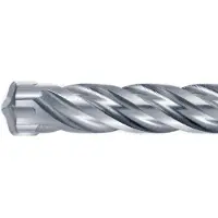 Hikoki Accessoires Boor SDS Plus 22X450 mm 783278