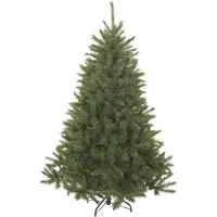 Triumph tree Baum Bristlecone 155Cm