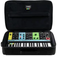 Moog SR Series Koffer für Großmutter