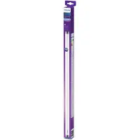 Philips Stabförmige Röhre, 8 W, 18 W, G13, 800 lm, 15000 h, Kühles Tageslicht