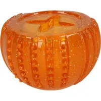 Dog Comets Ceres with Treat Locker Orange