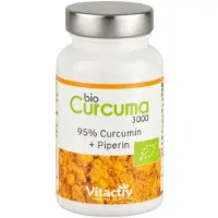 Vitactiv Curcuma 3000 Bio Kapseln 60 St