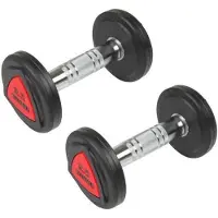 FINNLO 37.5kg Hantel 2 Einheiten