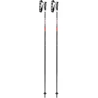 LEKI Herren Alpin-Skistock Neolite