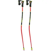 LEKI Herren Alpin-Skistock WCR Lite GS 3D