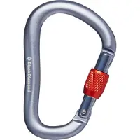 Black Diamond Schlosserei ROCKLOCK SCREWGATE CARABINER