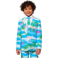 Opposuits Boys Flaminguy