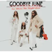 Bertus France Cnt See Where The Night Goes (Black Vinyl)