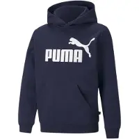 Puma Essentials Big Logo Fl Sweatshirt
