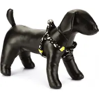 Beeztees Bz Nyl Geschirr Thunder Sw 26-