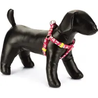 Beeztees BZ NYL GESCHIRR HERZ PINK 26-4