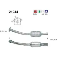 As Katalysator 21244