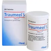 Heel Traumeel S 250 ST