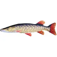 Gaby Stofftier Kuscheltier Hecht Giant 110cm