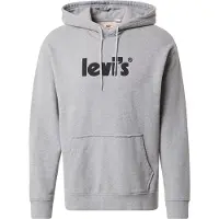 Levi's T2 Relaxed Graphic Kapuzenpullover
