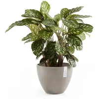 Ecopot's Blumentopf "ANTWERP Taupe", BxTxH: 50x50x37,5 cm