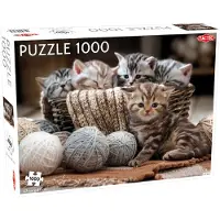 Tactic Cute Kittens 1000 pcs, 1000 Stück(e), Tiere, 9 Jahr(e)