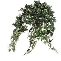 Mica Decorations Hedera Efeu Kunstpflanze grün im Keramiktopf L45 x B25 x H25 cm - Künstliche Pflanzen/Neonpflanzen mit Blumen