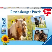 Ravensburger Liebe Pferde 08011