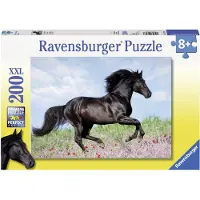 Rave Schwarzer Hengst 12803