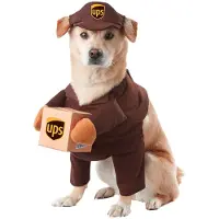 California Costumes UPS Hundekostüm, Größe L