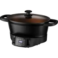 Russell Hobbs GOOD-TO-GO MULTIKOCHER 28270-56 schwarz