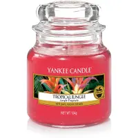 Yankee candle Raumdüfte Duftkerzen Tropical Jungle Classic Small Glass