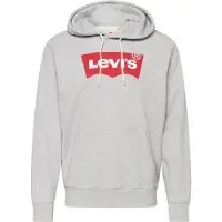 Levi's Standard Graphic Hoodie Co Hm Two Color Größe: XXL | Kaputzenpullis Outlet | Herren
