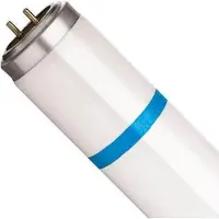 Philips Lampe UV-A 18W/24 & quot; BL368 Bruchsicher