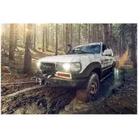 MSW Offroad-Autoseilwinde mit Fernbedienung, 15 m Seil, Zugkraft 2040 kg + 4 T Block