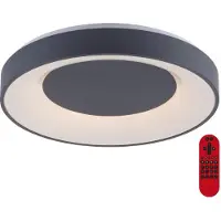 LOLA Smart LED-Deckenleuchte, anthrazit, dimmbar, App, Fernbedienung