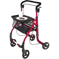 RFM Rehaforum Medical Actimo Home Rollator 1 St