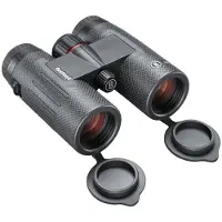 Bushnell Nitro 10x36mm Fernglas