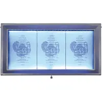 Securit 3xA4 COATED STEEL belyst informationsdisplay