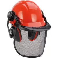 Einhell Forsthelm "BG-SH 1", mit erstellbarem Gehörschutz