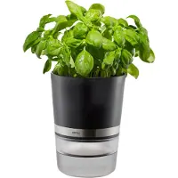 GEFU BOTANICO, Kräutertopf, Freistehend, Kunststoff, Edelstahl, Schwarz, Zylinder, 0,5 l