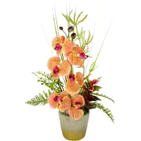 Klingel Gesteck 'Phalaenopsis' Orange