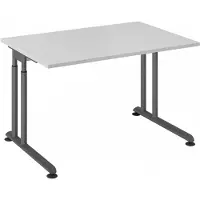 Hjh OFFICE PRO ZENO 12 G | 120x80 - 120 x 80 h?henverstellbar Grau/Graphit